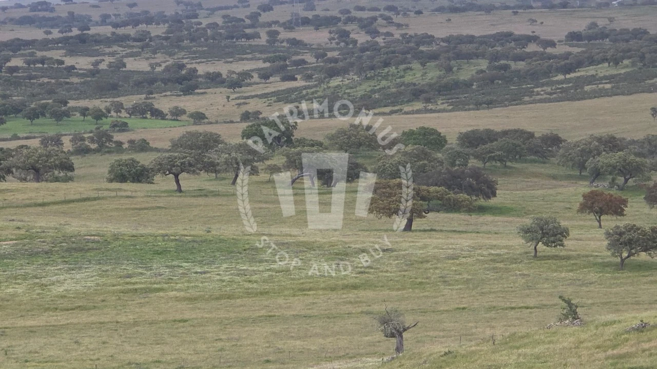 Quinta para Venda em Ourique Foto 46