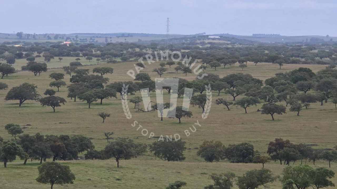 Quinta para Venda em Ourique Foto 47