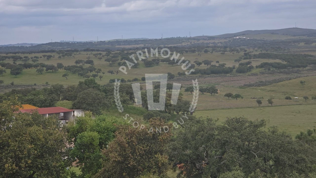 Quinta para Venda em Ourique Foto 52