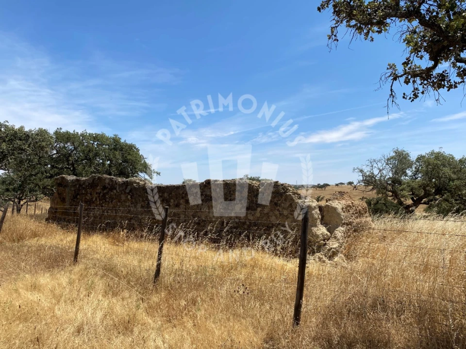 Quinta para Venda em Ourique Foto 61