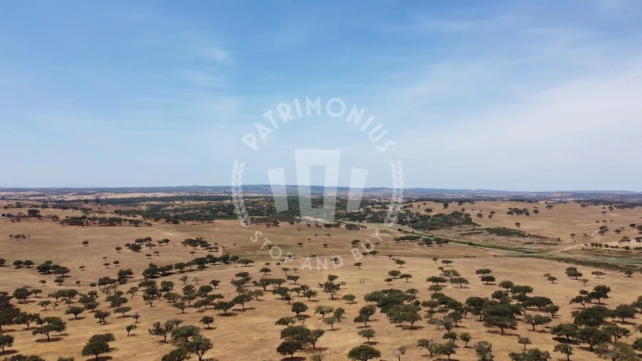 Quinta para Venda em Ourique Foto 24