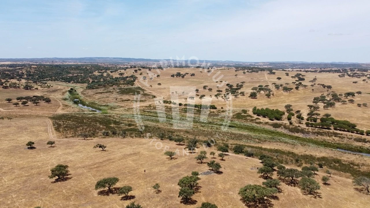 Quinta para Venda em Ourique Foto 23