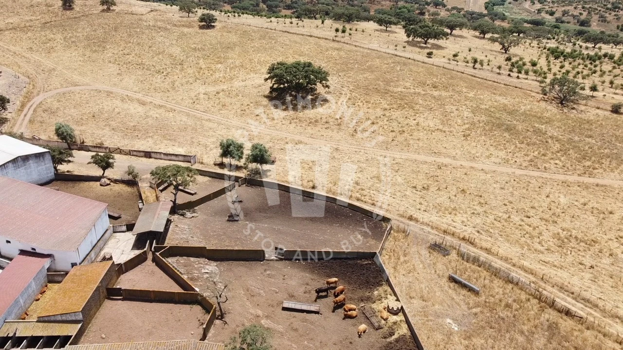 Quinta para Venda em Ourique Foto 65