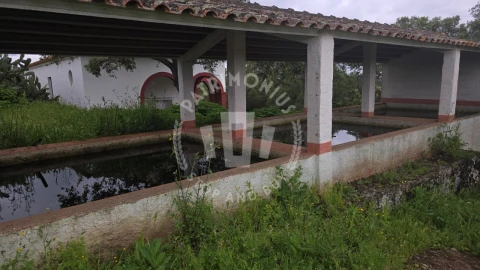 Quinta para Venda em Ourique