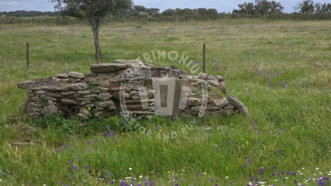 Quinta para Venda em Ourique