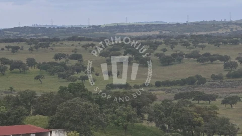 Quinta para Venda em Ourique