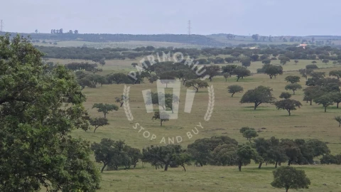 Quinta para Venda em Ourique