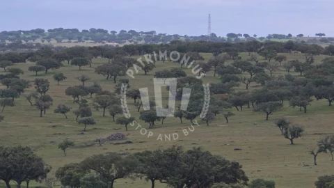 Quinta para Venda em Ourique