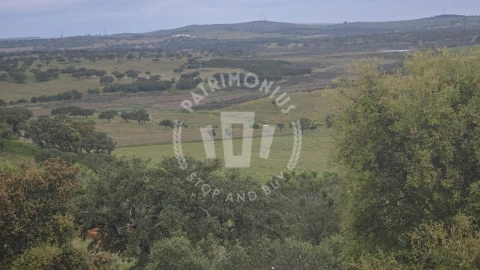 Quinta para Venda em Ourique