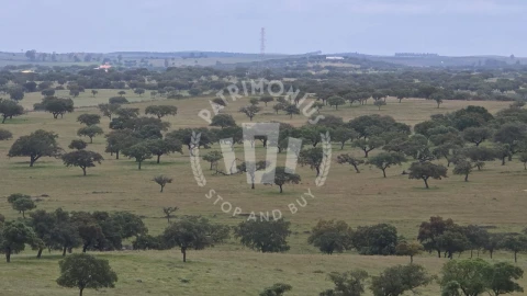 Quinta para Venda em Ourique