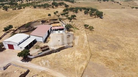 Quinta para Venda em Ourique