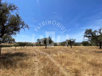 Quinta para Venda em Ourique