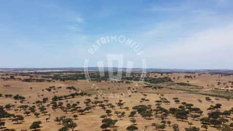 Quinta para Venda em Ourique