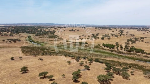 Quinta para Venda em Ourique