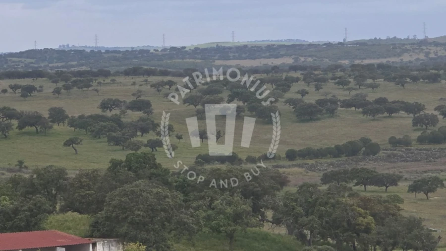 Quinta para Venda em Ourique Foto 30