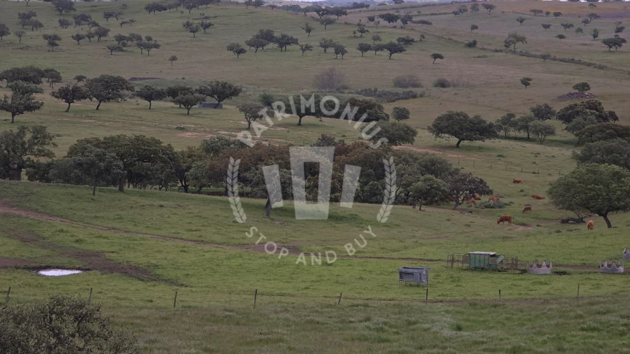 Quinta para Venda em Ourique Foto 48
