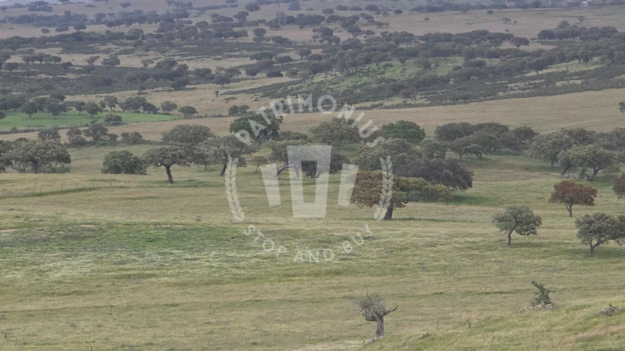 Quinta para Venda em Ourique Foto 46