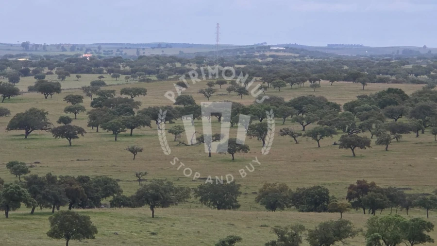 Quinta para Venda em Ourique Foto 47