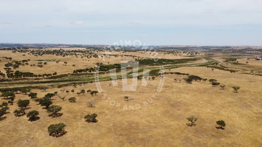 Quinta para Venda em Ourique Foto 25