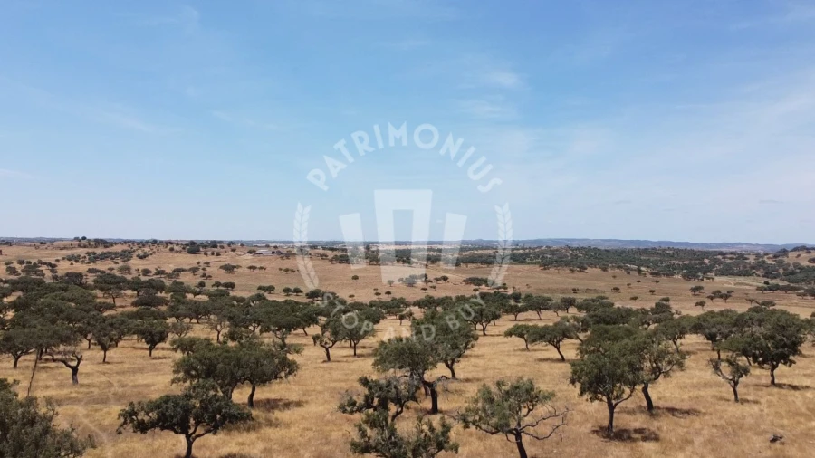 Quinta para Venda em Ourique Foto 54