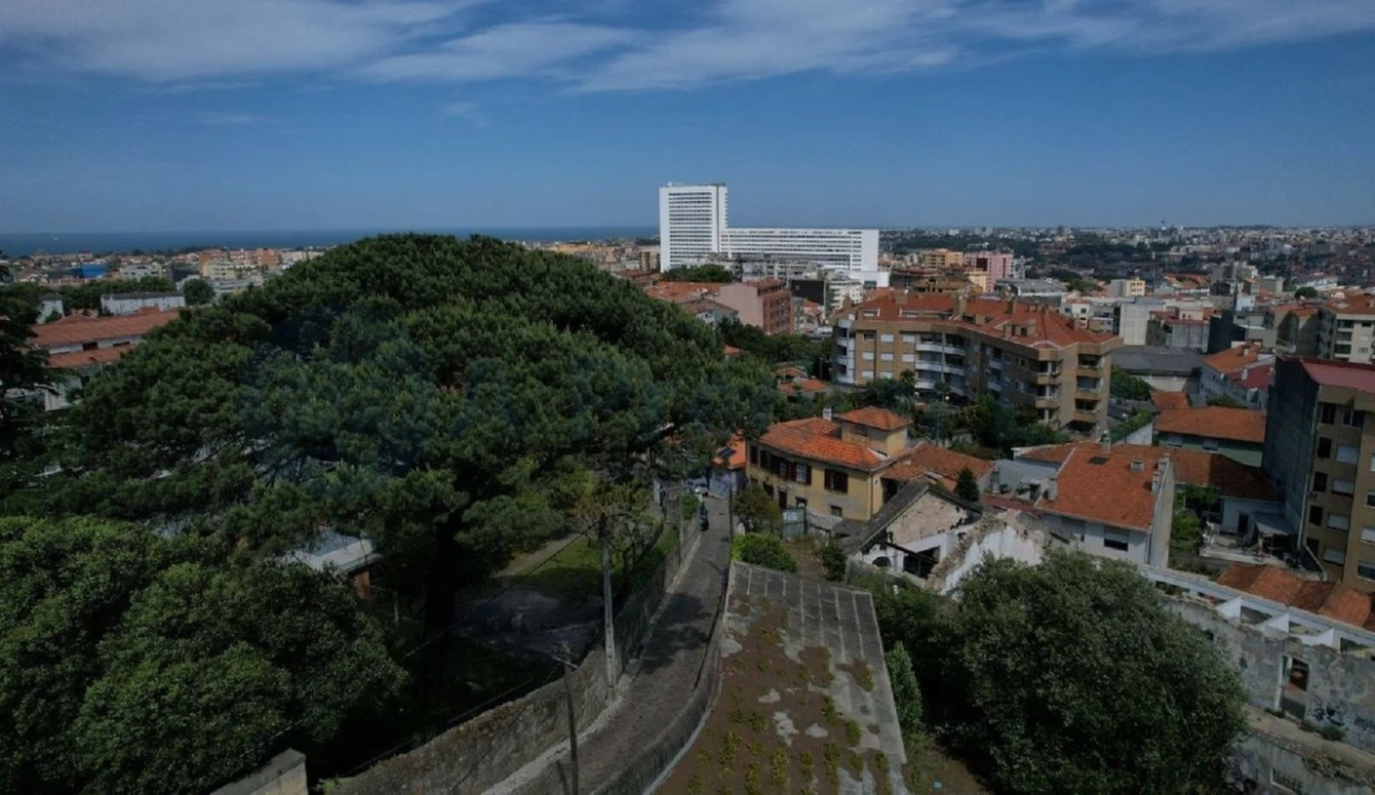 Apartamento para Venda em Mafamude e Vilar do Paraíso Foto 15