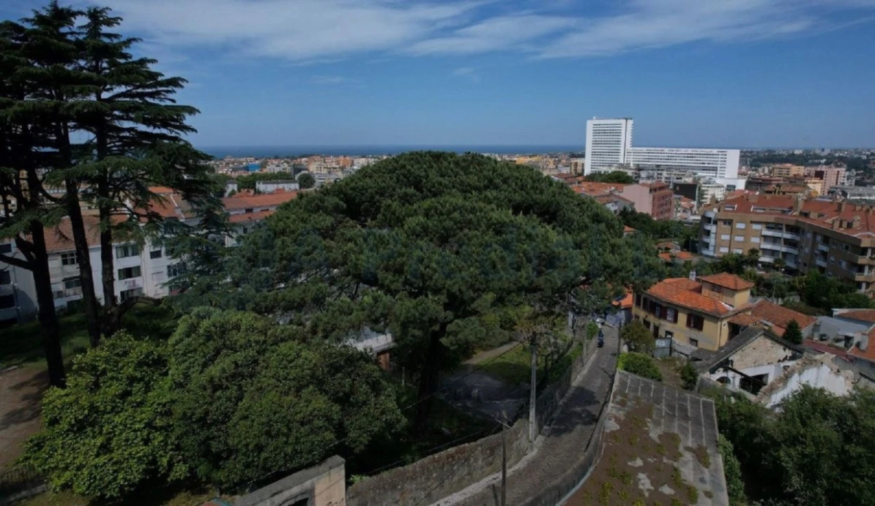Apartamento para Venda em Mafamude e Vilar do Paraíso Foto 16