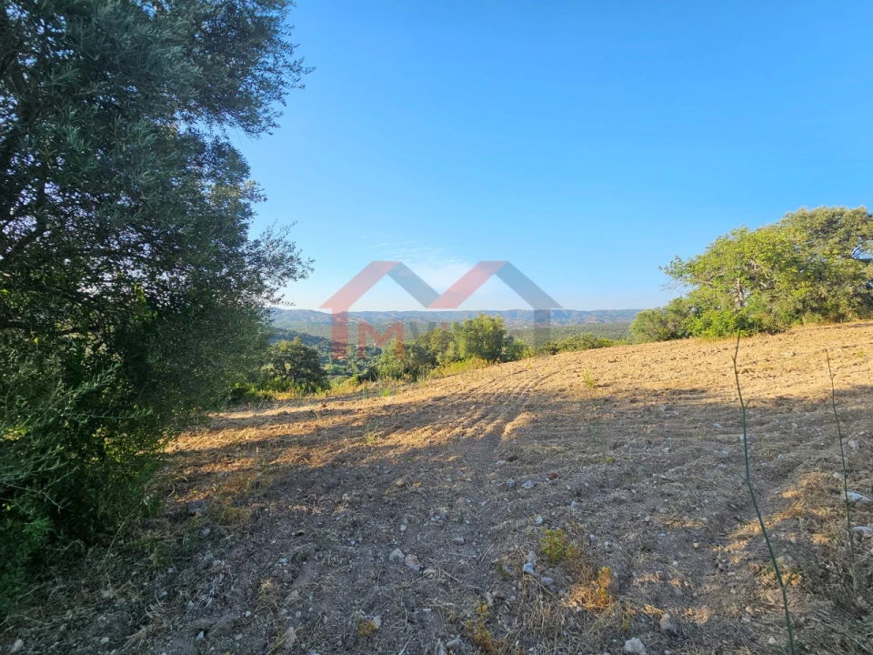 Terreno para Venda em Querença, Tôr e Benafim Foto 8