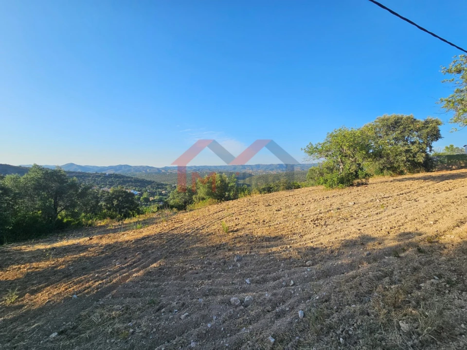 Terreno para Venda em Querença, Tôr e Benafim Foto 9