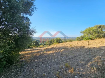 Terreno para Venda em Querença, Tôr e Benafim