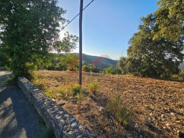 Terreno para Venda em Querença, Tôr e Benafim