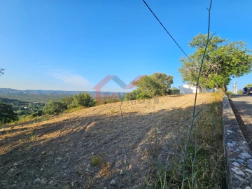 Terreno para Venda em Querença, Tôr e Benafim