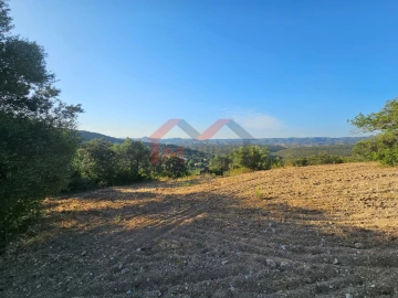 Terreno para Venda em Querença, Tôr e Benafim