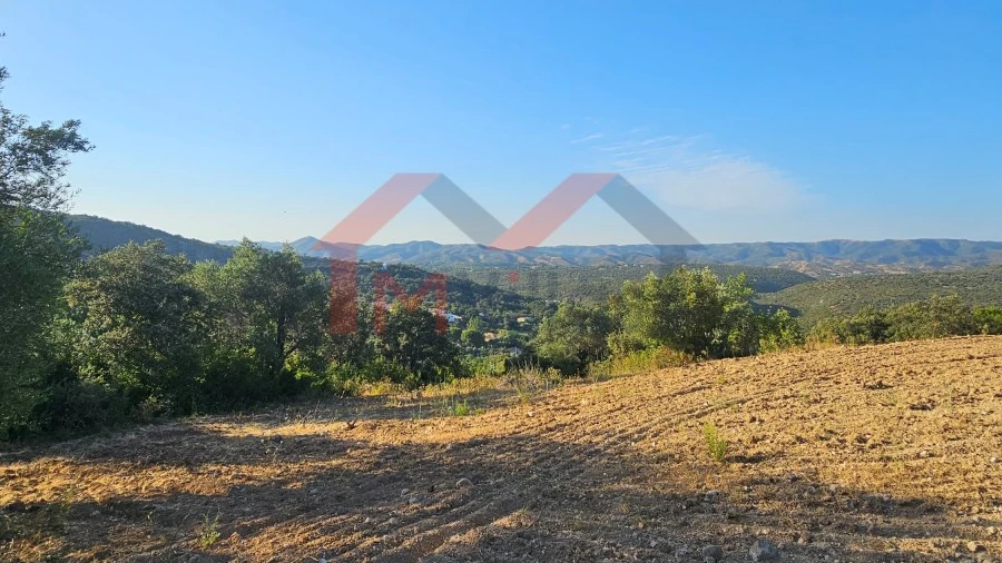 Terreno para Venda em Querença, Tôr e Benafim