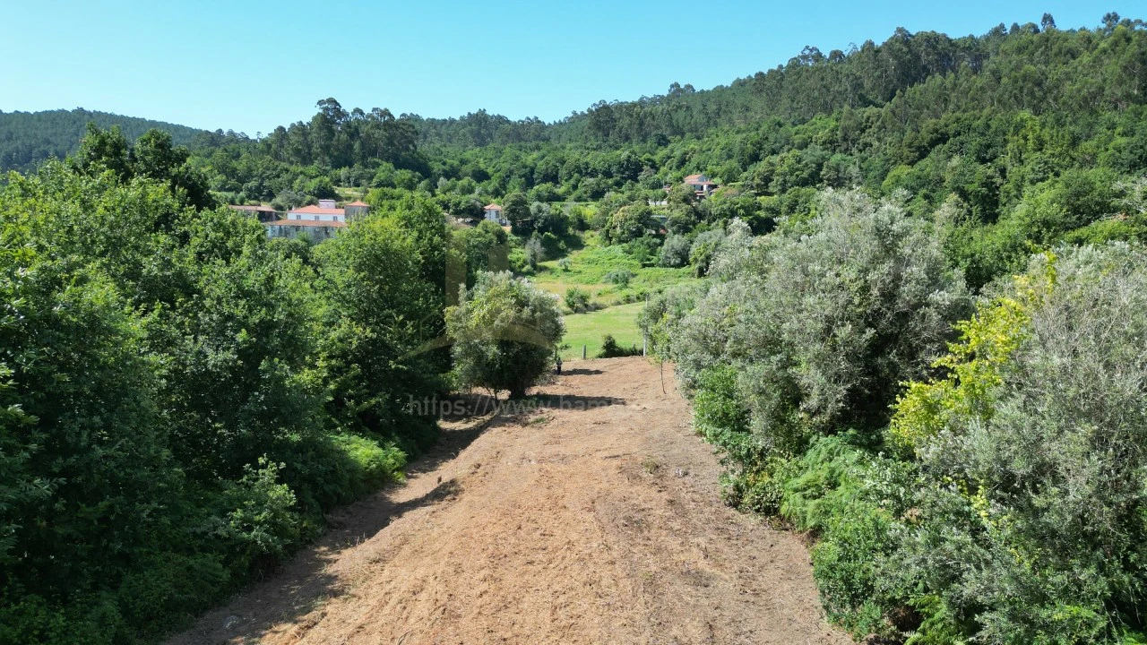 Terreno para Venda em São Julião e Silva Foto 3