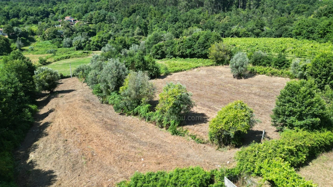 Terreno para Venda em São Julião e Silva Foto 5