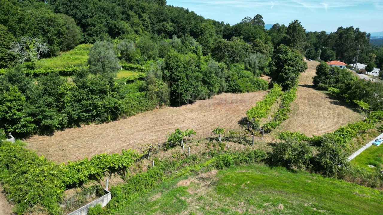 Terreno para Venda em São Julião e Silva Foto 6
