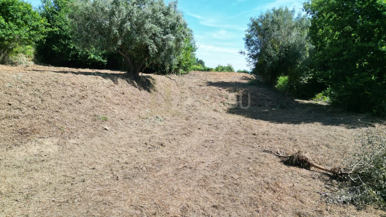Terreno para Venda em São Julião e Silva Foto 8