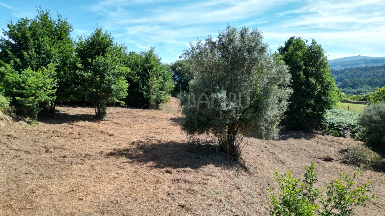 Terreno para Venda em São Julião e Silva Foto 11