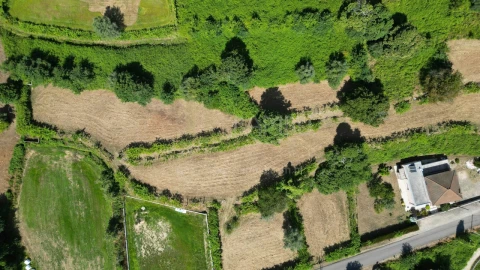 Terreno para Venda em São Julião e Silva