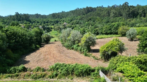 Terreno para Venda em São Julião e Silva