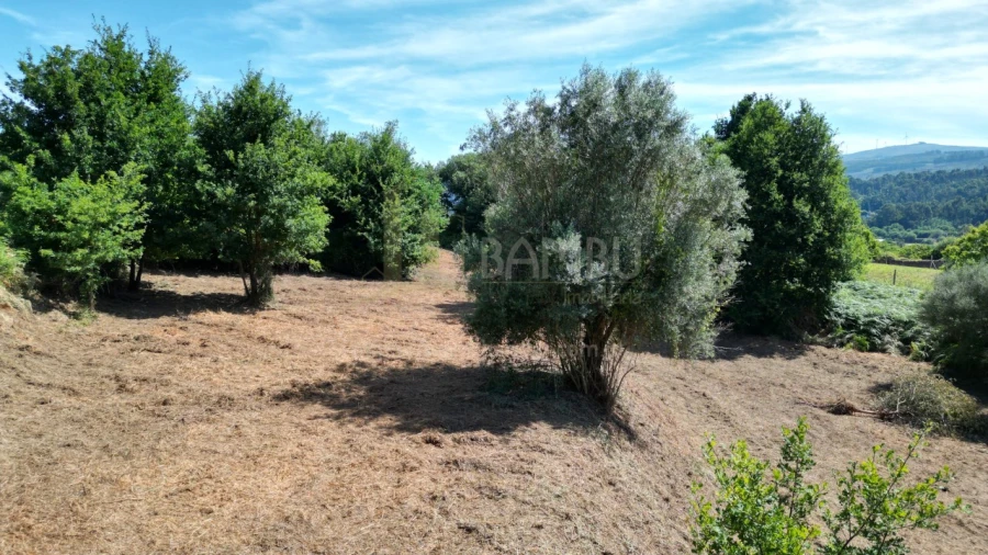 Terreno para Venda em São Julião e Silva Foto 11