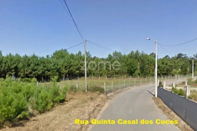 Terreno para Venda em Águeda e Borralha