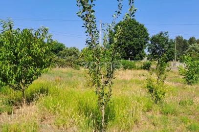 Terreno para Venda em Águeda e Borralha