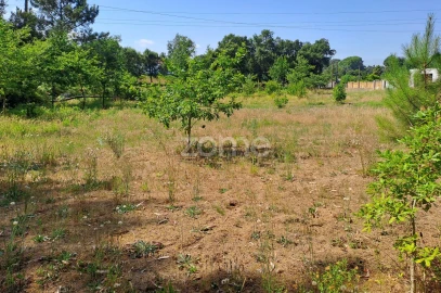 Terreno para Venda em Águeda e Borralha