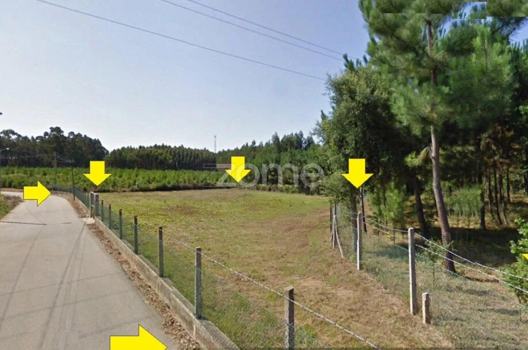 Terreno para Venda em Águeda e Borralha Foto 11