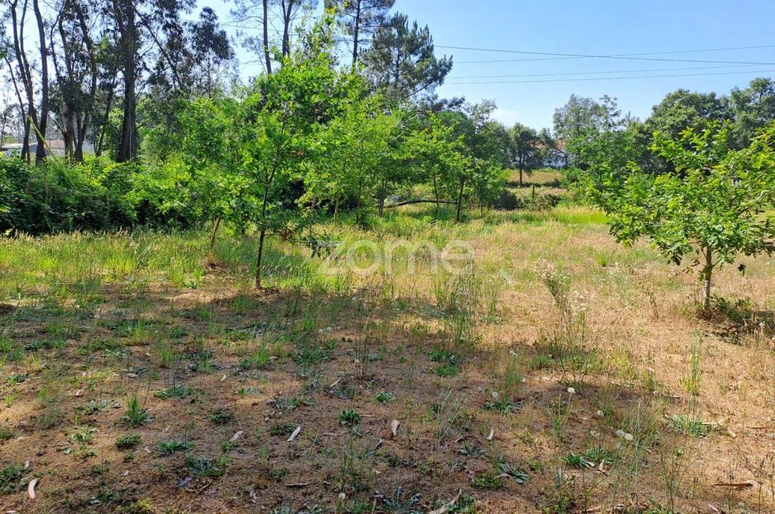 Terreno para Venda em Águeda e Borralha Foto 3