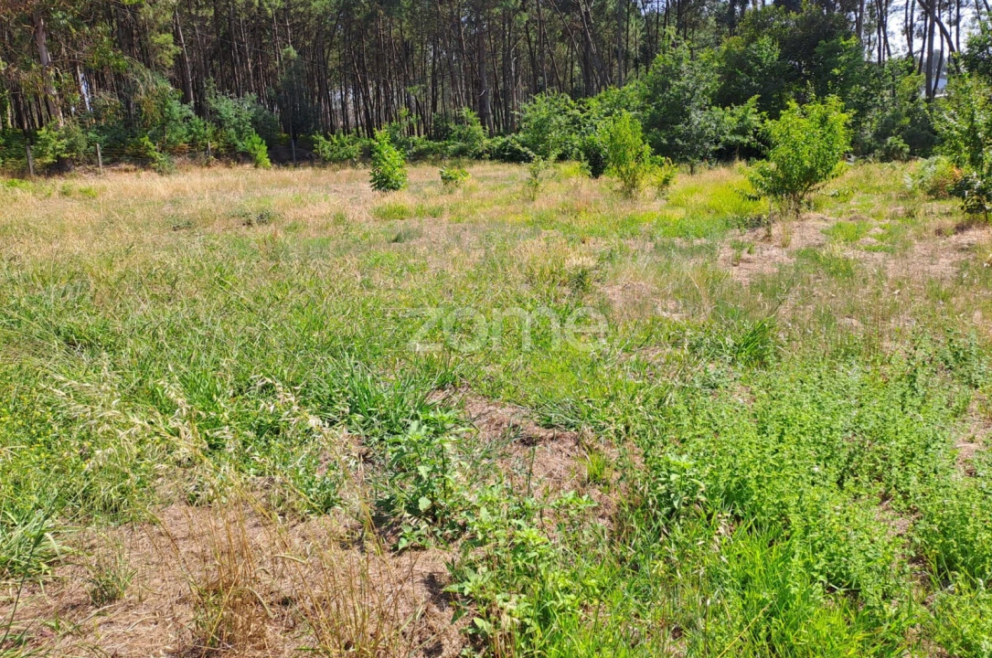 Terreno para Venda em Águeda e Borralha Foto 33
