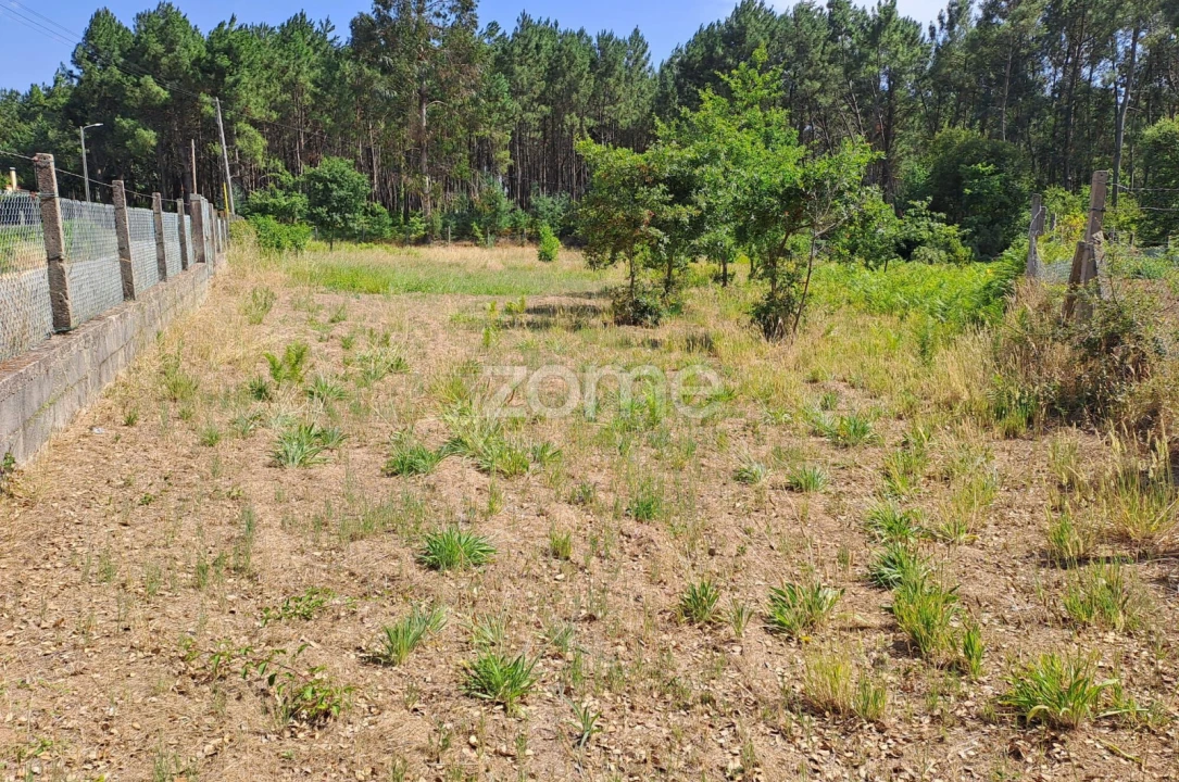 Terreno para Venda em Águeda e Borralha Foto 2