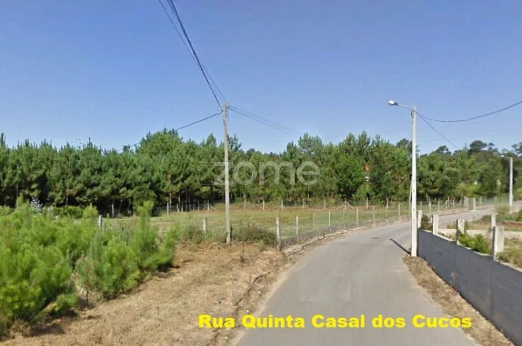 Terreno para Venda em Águeda e Borralha Foto 9