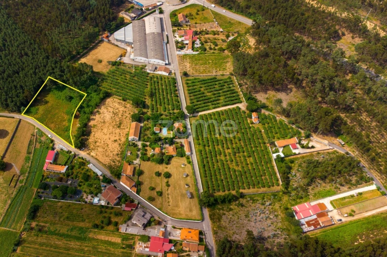 Terreno para Venda em Águeda e Borralha Foto 4